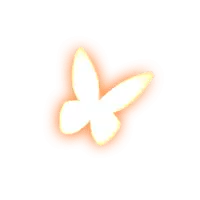 Butterfly - beautiful - Lossless PNG