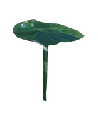 Lotus Leaf - lotus - Designer Recommended PNG