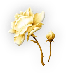 Yellow Rose - flower - Fast Download PNG