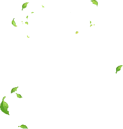 Falling Leaves - Curated PNG - green