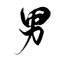 Black Owl - owl - High Resolution PNG