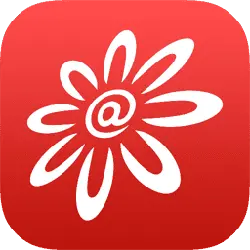 Petals - simple design - PNG