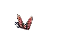 Butterfly - flying - High Quality PNG
