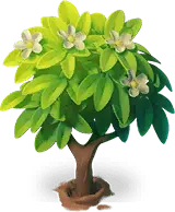 Tree - leaves - flowers - Free PNG
