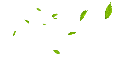 Leaves Falling - falling - Free PNG