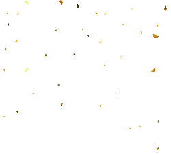 Golden Petals - golden - No Background PNG