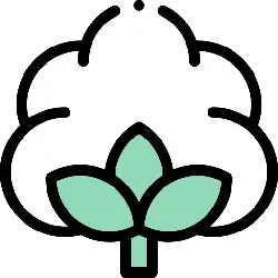 Cotton - white - green - PNG Images