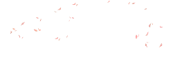 Pink Butterfly - Curated PNG