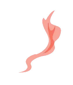 Flame - warmth - No Watermark PNG