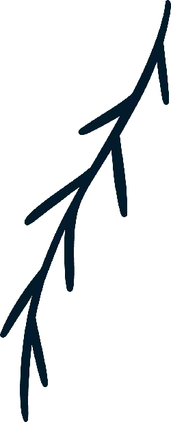 Branch - growth - Designer Recommended PNG