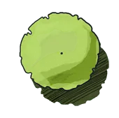 Lettuce - fresh - High Download Count PNG