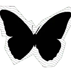 Butterfly - PNG Images - art