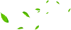 Falling Green Leaves - nature - leaves - Free Download PNG