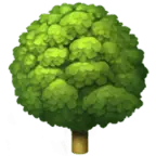 Broccoli Tree - green - PNG