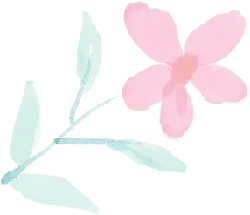 Pink Flower - painting - No Background PNG