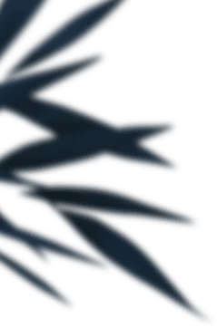Blue Bamboo Leaves - nature - Transparent Layer PNG