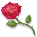 Rose - Free Download PNG - love