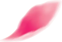 Pink Petal - High Resolution PNG