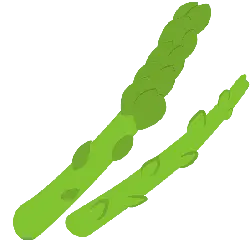 Asparagus - Curated PNG