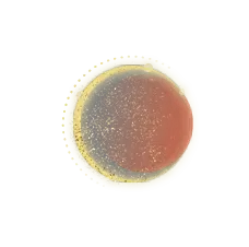 Blood Moon Eclipse - moon - Free PNG