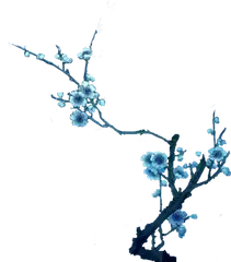 Plum Blossom Branch - blue - No Background PNG