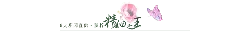 Pink Rose - Fast Download PNG - Free for Commercial Use PNG