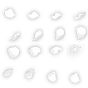 Petals - leaf - white - Free Download PNG