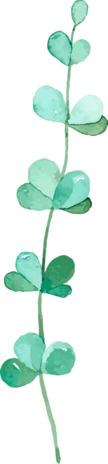 Clover - fresh - No Watermark PNG