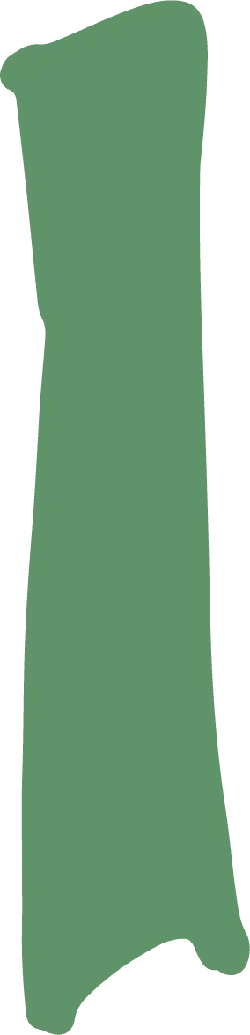 Green Rectangle - graphic - Transparent Layer PNG