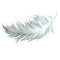 White Feather - lightweight - Recommended PNG