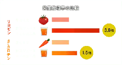 Tomato - healthy - nutrition - High Resolution PNG