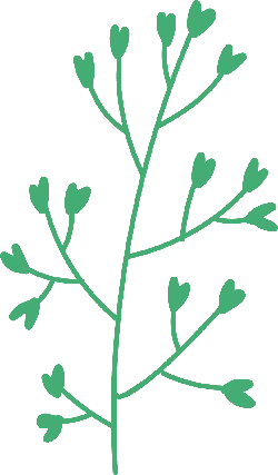Green Branch - plant - High Resolution PNG