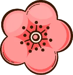 Plum Blossom - Popular Download PNG - nature