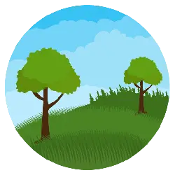 Two Trees on Grassland - nature - No Watermark PNG