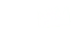 Shadow Tree Silhouette - silhouette - Transparent Layer PNG