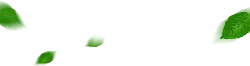 Falling Green Leaves - nature - Transparent Layer PNG