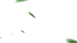 Green Leaves - nature - blurry - Transparent Layer PNG