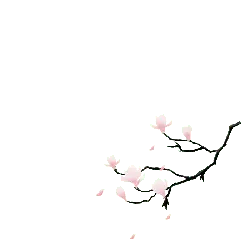 Pink Cherry Blossom Branch - nature - branch - High Resolution PNG