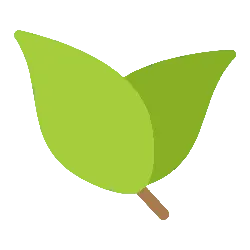 Two Green Leaves - plant - No Background PNG