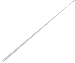 Black Cat - black - High Resolution PNG - Pic 45