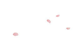 Pink Petals - No Watermark PNG - falling