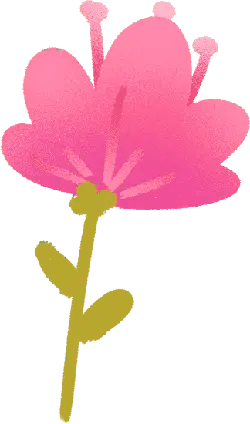 Pink Flower - illustration - simple - Free Download PNG