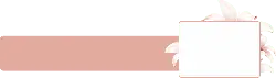 Pink Flower Decorative Frame - High Download Count PNG