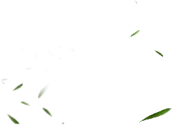 Flying Leaves - motion - Transparent Background PNG