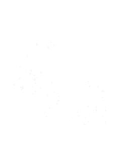 Butterflies - black background - Free Download PNG