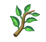 Branch - growth - leaves - No Watermark PNG