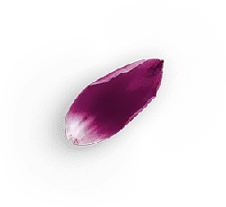 Petal - purple - plant - No Watermark PNG