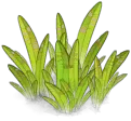 Green Plant - leaf - No Watermark PNG