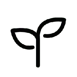 Clover - growth - No Watermark PNG