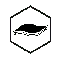Hexagon Logo - Transparent Layer PNG